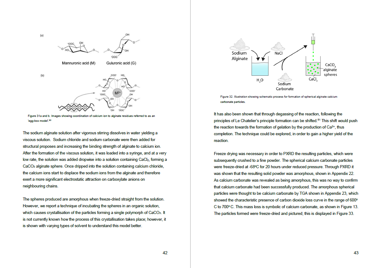 Sample of 3rd year project report