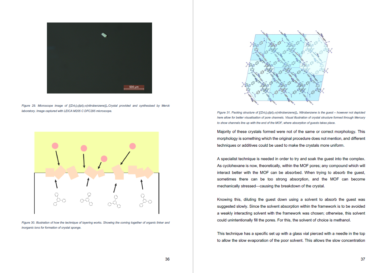 Sample of 4th year project report